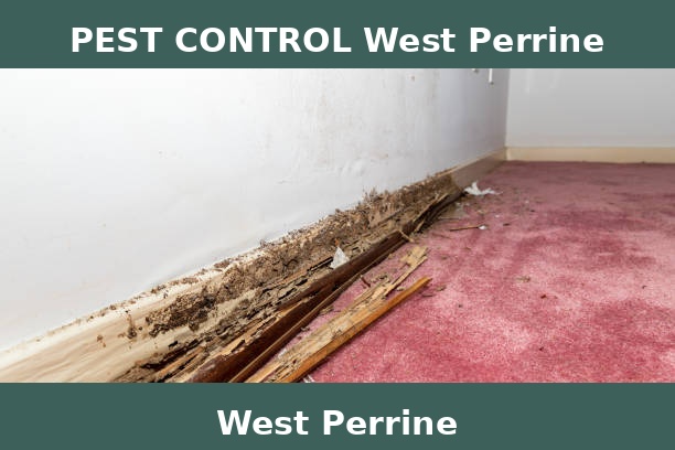 PEST CONTROL West Perrine